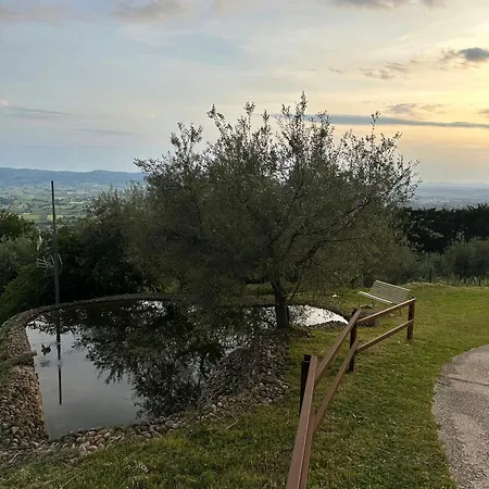 Designer Overlooking Valley 阿西西