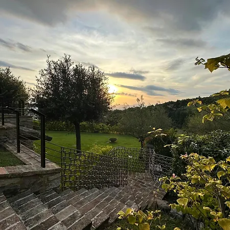 Designer Overlooking Valley