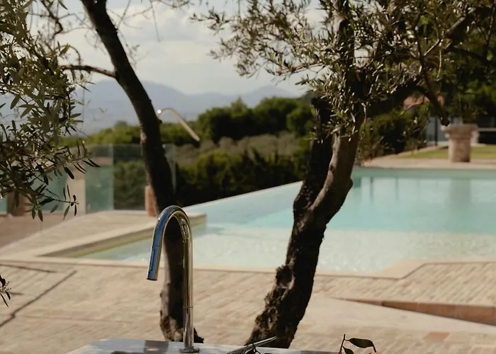 Designer Overlooking Valley