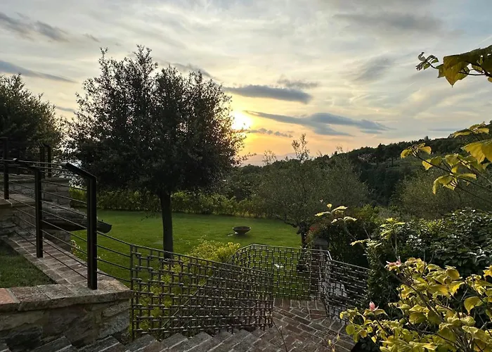 Designer Overlooking Valley